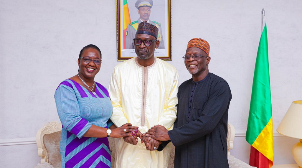 Sustainability of The Sahel Alliance – A Myth Or Reality