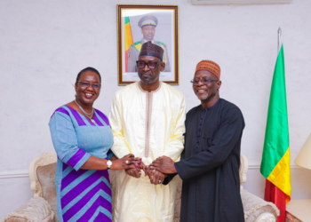 Sustainability of The Sahel Alliance – A Myth Or Reality 