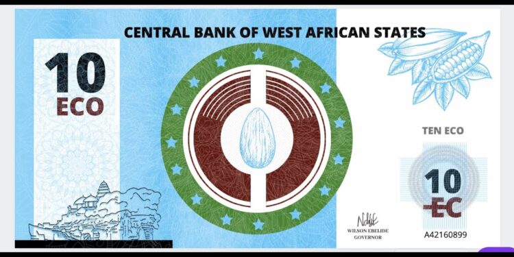L’Afrique de l’Ouest rêve depuis longtemps d’une monnaie commune afro-centrique et non coloniale
