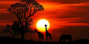 Faire face à la dure vérité : reconnaître notre rôle dans l’amoindrissement des bienfaits de notre patrie