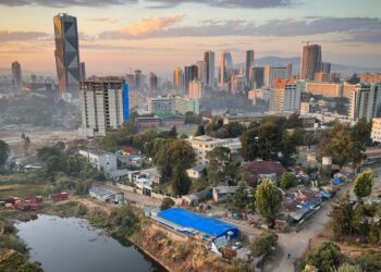 Neoliberal Reforms And Urban Security In African Cities: Analysing The Implications.