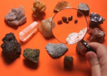 Souveraineté économique et des ressources en Afrique