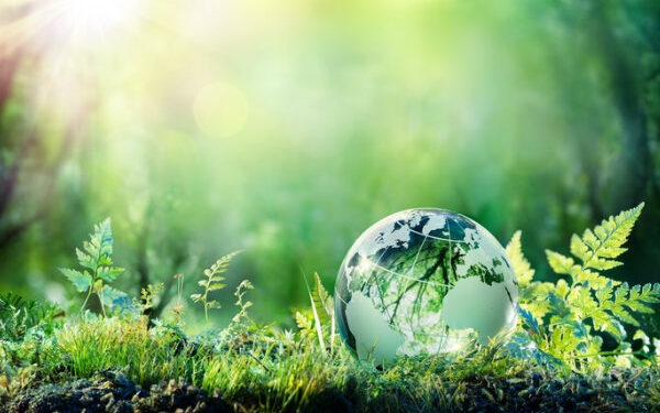 Gestion durable des ressources en Afrique de l’Ouest : Pourquoi les communautés doivent-elles occuper le devant de la scène ?