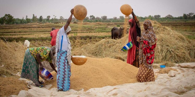 Présenter l’insécurité alimentaire comme une contagion de la sécurité