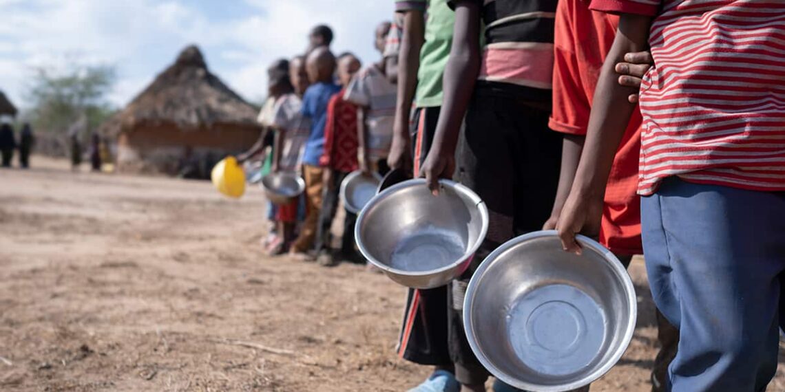 Food Insecurity in The Sahel: A Call for Urgent Action