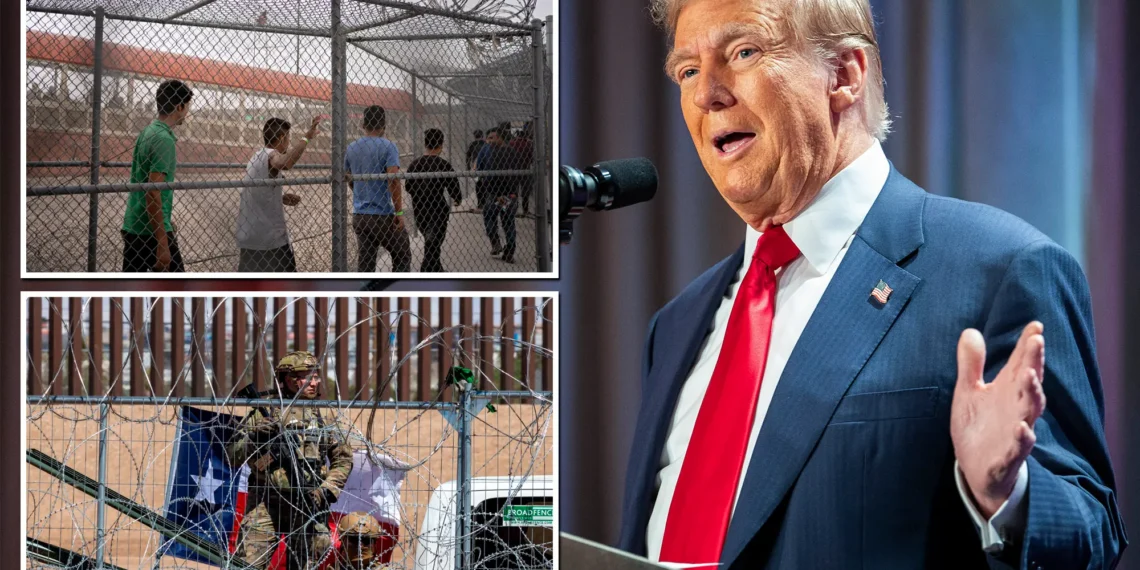 The Impact Trump’s Mass Immigrant Deportations Could Have on Africa’s Resources and Security