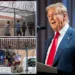 The Impact Trump’s Mass Immigrant Deportations Could Have on Africa’s Resources and Security