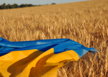 Impact de la guerre en Ukraine sur l’agriculture et la sécurité alimentaire en Afrique