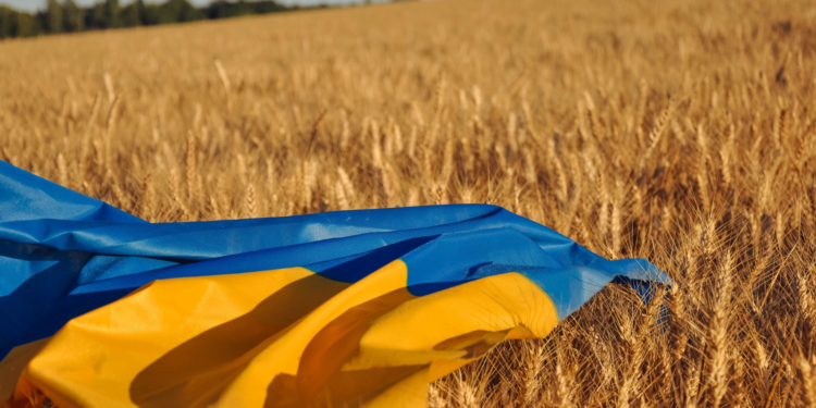 Impact de la guerre en Ukraine sur l’agriculture et la sécurité alimentaire en Afrique