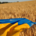 Impact de la guerre en Ukraine sur l’agriculture et la sécurité alimentaire en Afrique