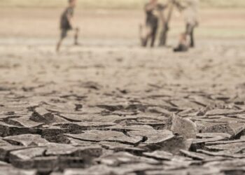 Terrorism In the Sahel: Devastating Impacts on Natural Resources, Water, And Agriculture