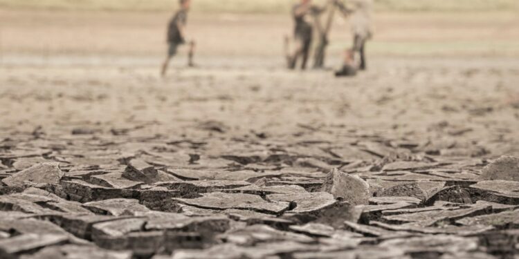 Terrorism In the Sahel: Devastating Impacts on Natural Resources, Water, And Agriculture