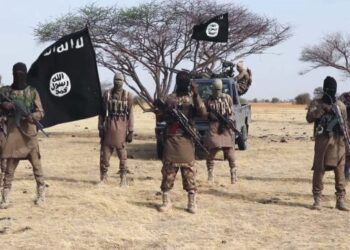 The Islamic State’s African Footprint: A Deepening Threat to Regional Stability