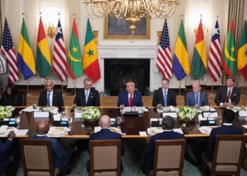 Africa and the West: A Pivot Towards Economic Partnership and Renewed Diplomatic Engagement