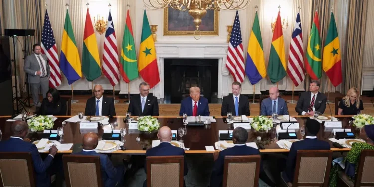 Africa and the West: A Pivot Towards Economic Partnership and Renewed Diplomatic Engagement