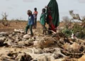Rainfall Seasonality, Conflict, and Food Insecurity: Africa at the Frontline of Climate Disruption
