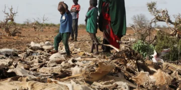 Saisonnalité des précipitations, conflits et insécurité alimentaire : L&rsquo;Afrique en première ligne du dérèglement climatique