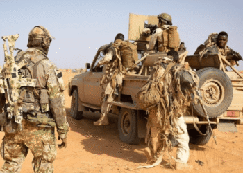 Misaligned Interests in the Sahel: Conceptual Foundations for Security and Development Analysis in West Africa