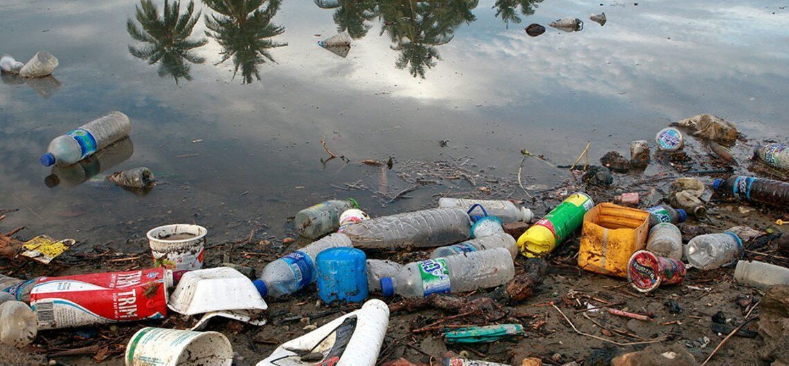 Plastic Pollution As A Toxin To Aquatic Health and Global Food Security