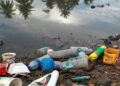 Plastic Pollution As A Toxin To Aquatic Health and Global Food Security