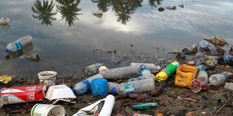 Plastic Pollution As A Toxin To Aquatic Health and Global Food Security