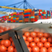 Attaque de la tomate Titao : Une occasion pour le Ghana de mettre fin à sa dépendance à l'égard des importations