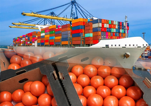 Titao Tomato Attack: An opportunity for Ghana to end import dependence