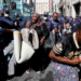 Xenophobic Attacks in South Africa: Lessons for Other African Countries