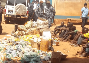 Africa on the Global Drug Trafficking Map: From Transit Corridor to Emerging Market